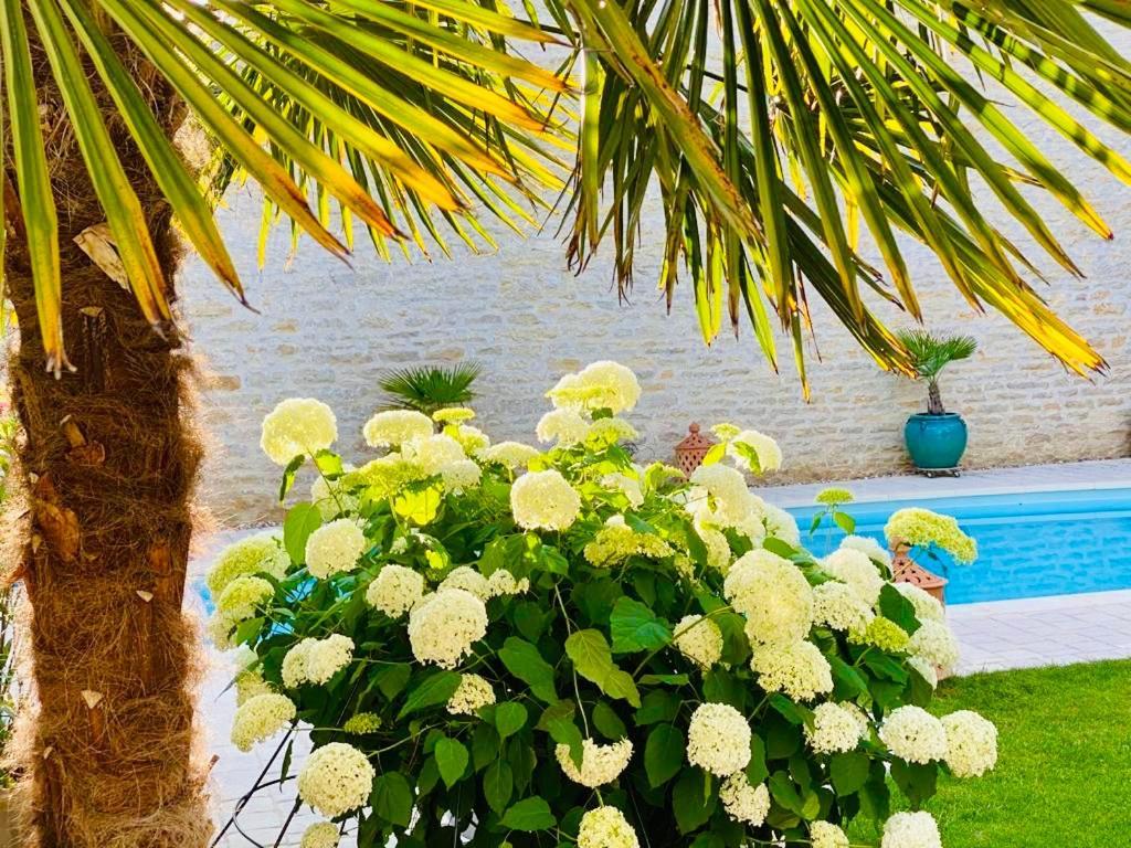"Le Jardin" Chambre De Charme, Piscine A Meursault Ngoại thất bức ảnh